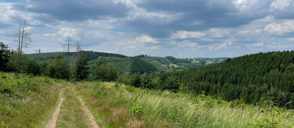 Natuurtrip naar de Belgische Ardennen